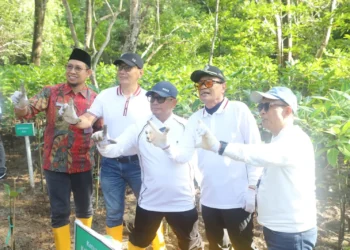 Pemprov Kaltim Semarakkan Hari Mangrove Sedunia 2026 Lewat Penanaman 12.000 Pohon di Pantai Lamaru