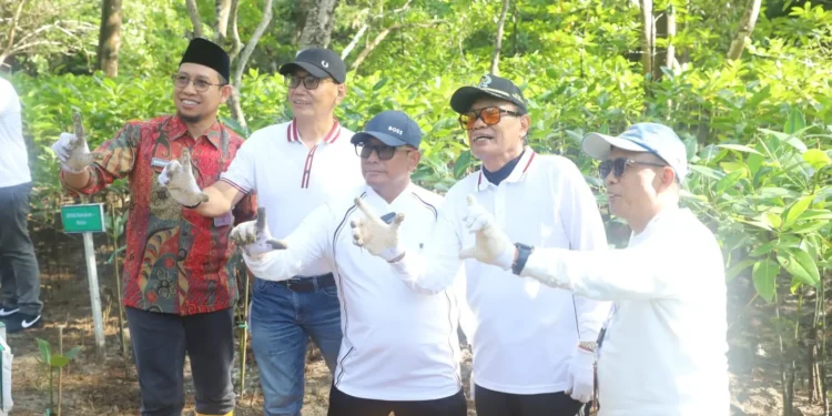 Pemprov Kaltim Semarakkan Hari Mangrove Sedunia 2026 Lewat Penanaman 12.000 Pohon di Pantai Lamaru