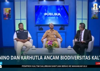 El Nino Picu Ancaman Karhutla, Biodiversitas Kaltim dalam Bahaya